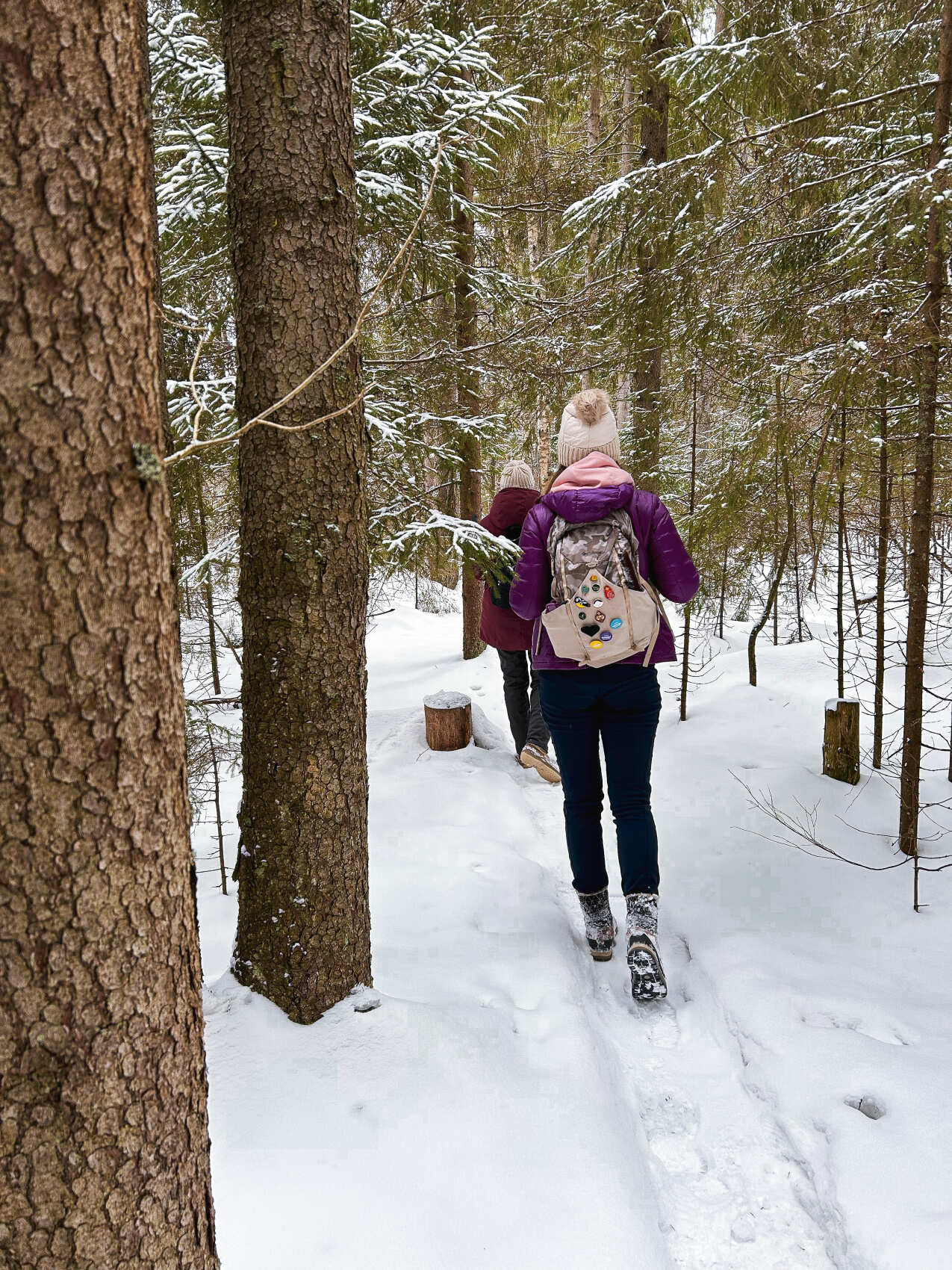 Пеший поход Дорога в Лавру. Лесной скит (4/14)