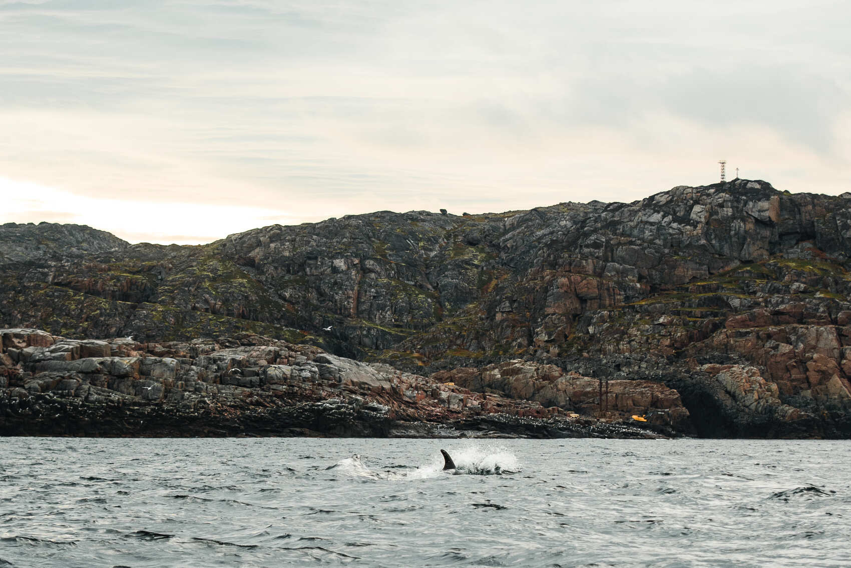 Фото экспедиция по Кольскому п-ову (+Рыбачий+Средний+ киты) (8/33)