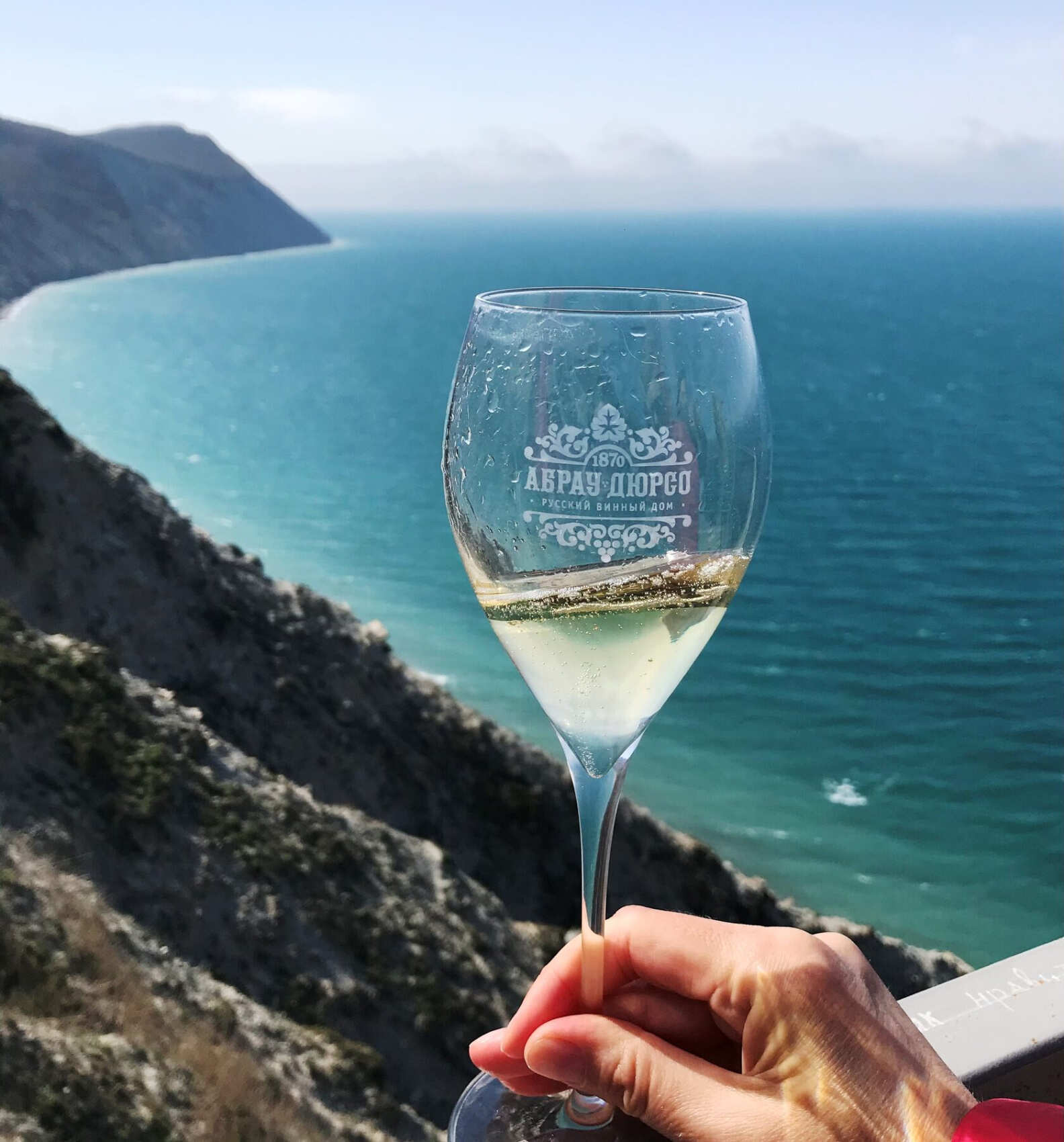 Индивидуальное знакомство с нашим виноделием (4/25)