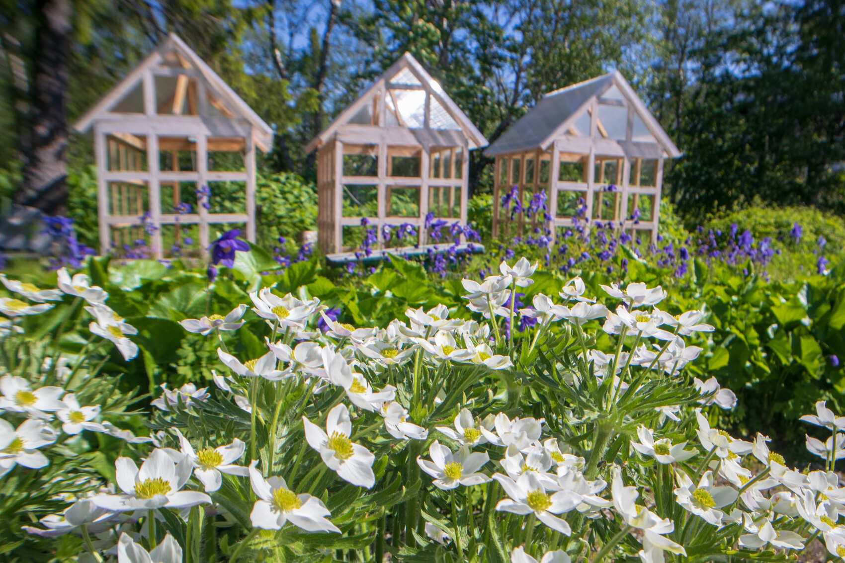 3 в 1: Мурманск-Териберка-Кировск (24/25)