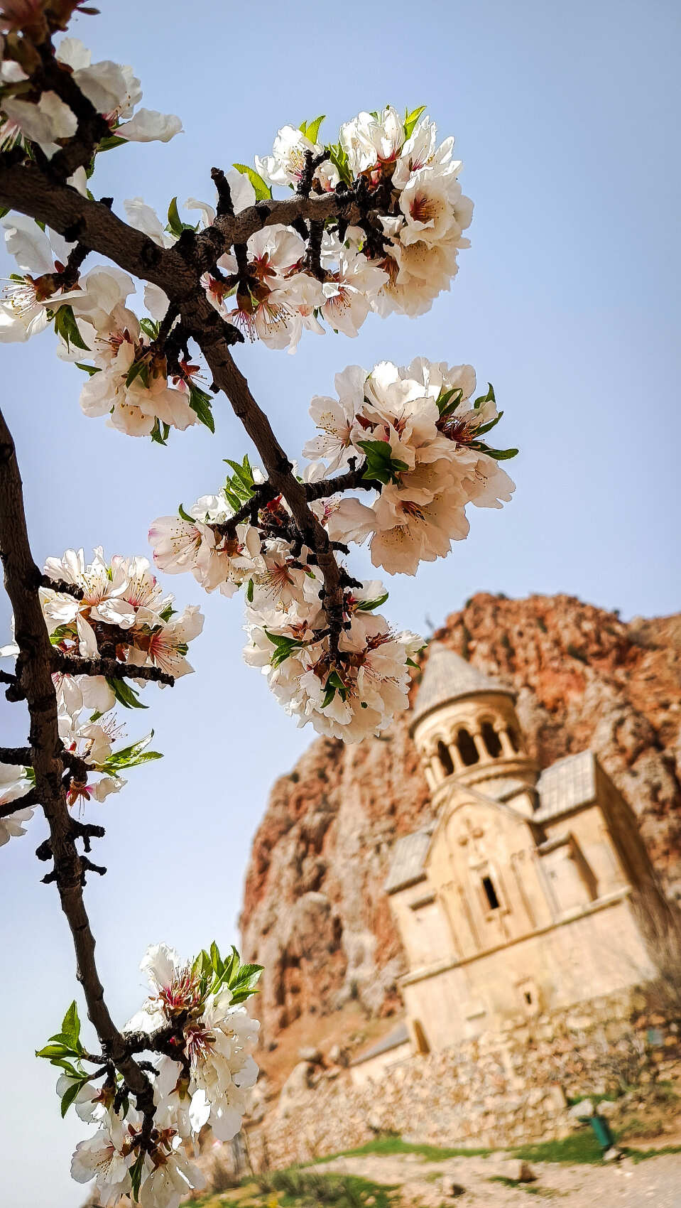 РАДУЖНЫЕ КАНИКУЛЫ - В СОЛНЕЧНОЙ АРМЕНИИ! (2/19)