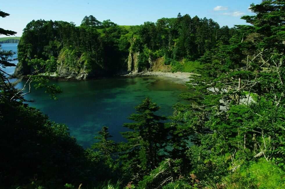 Тур на Курилы ( о.Шикотан ) (4/20)