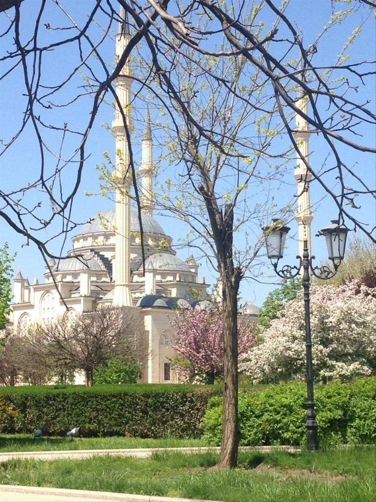 Выходные в Осетии (7/39)