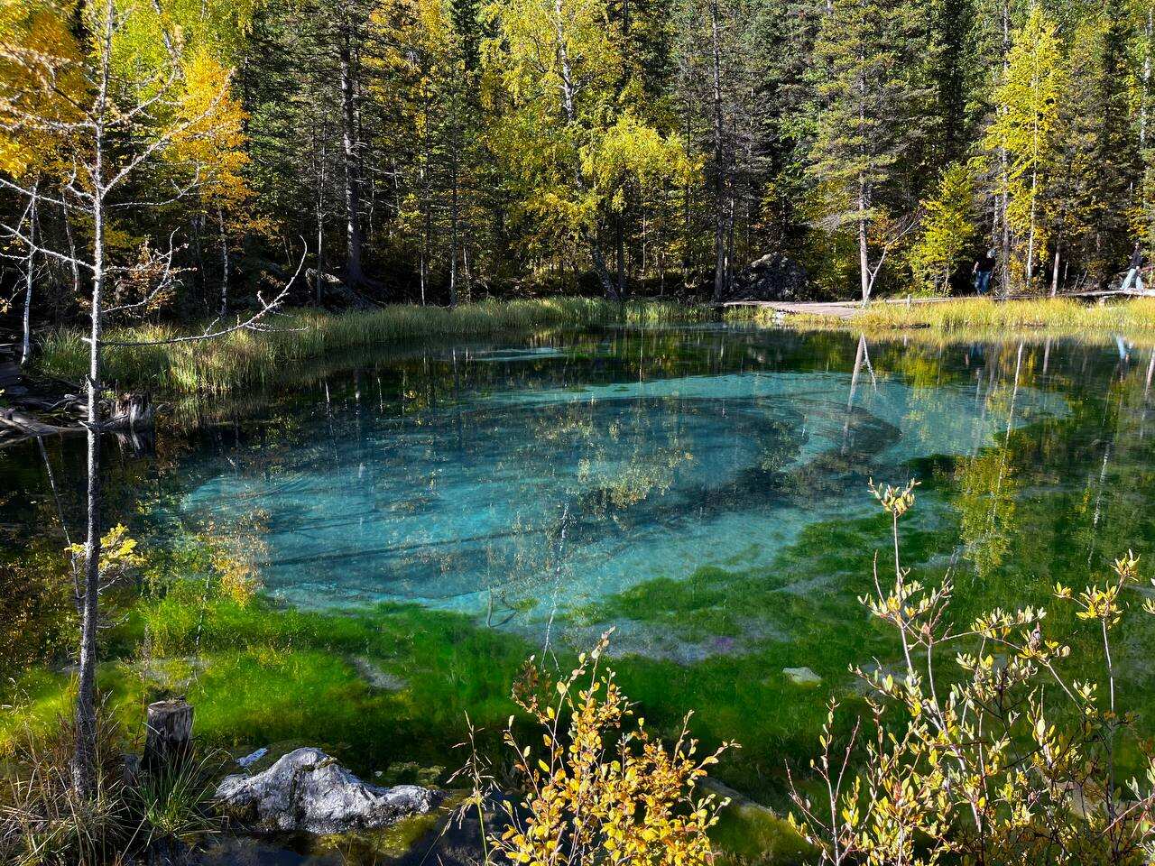 Золотое кольцо Алтая: инстаграмные локации (22/58)