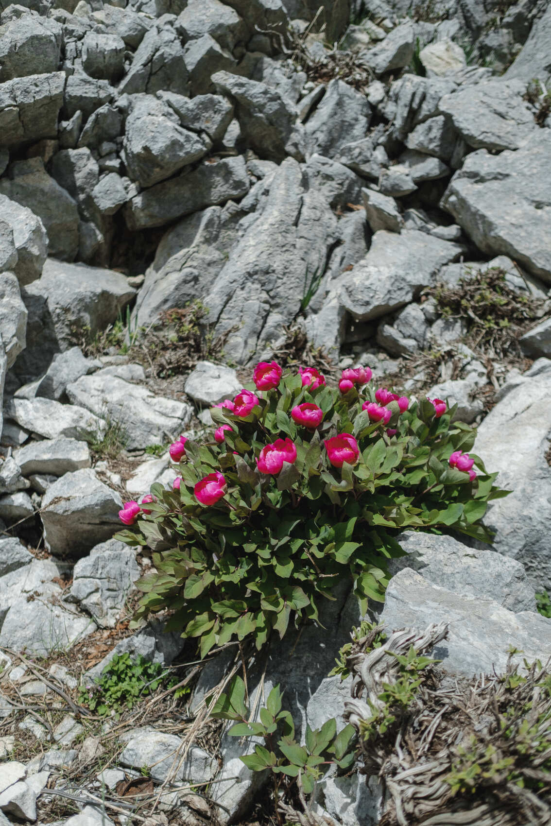 Трекинг по Ликийской тропе с восхождением на г.Тахталы (22/62)