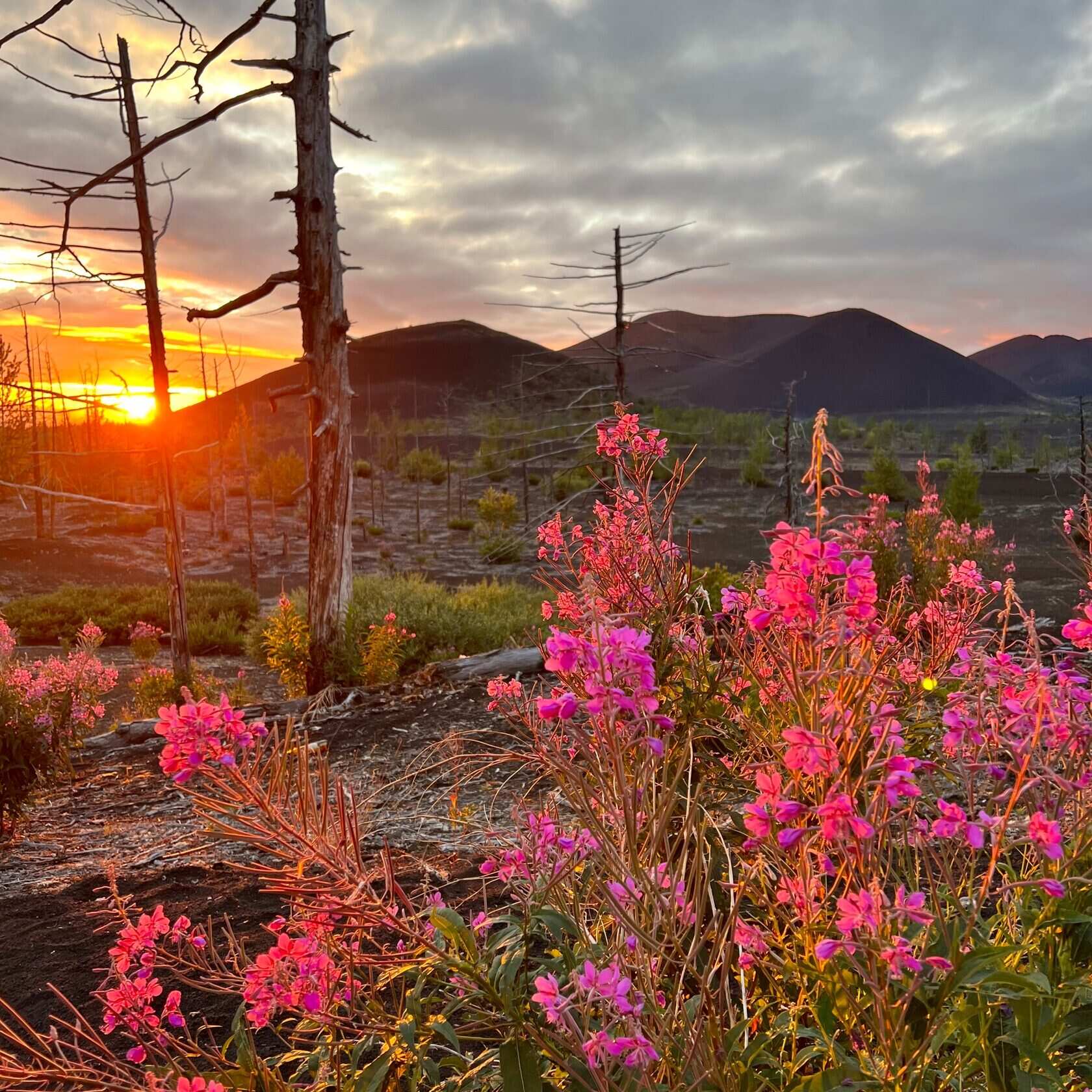 Камчатка Классика + Толбачик (7/25)