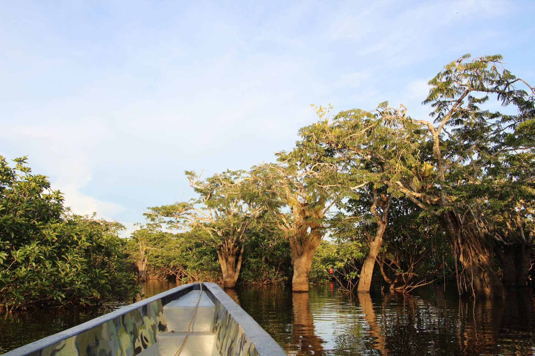 Путешествие по Андам и Амазонке (6/20)