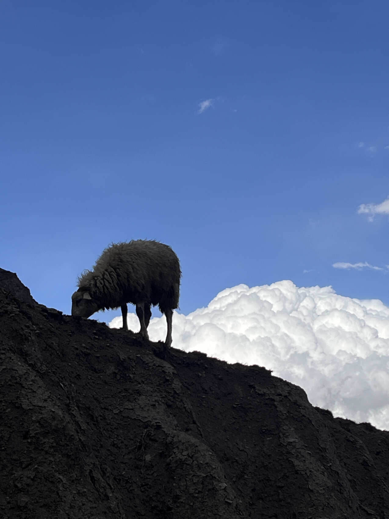 Кабардино-Балкария: Тайны Гор и Долин. Из Владикавказа (73/73)