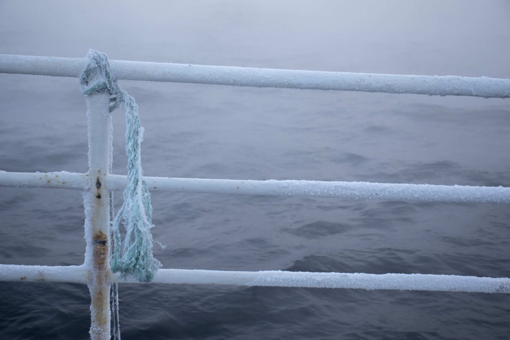 На китов в Териберку + Мурманск! (группа до 8 чел.) (23/38)