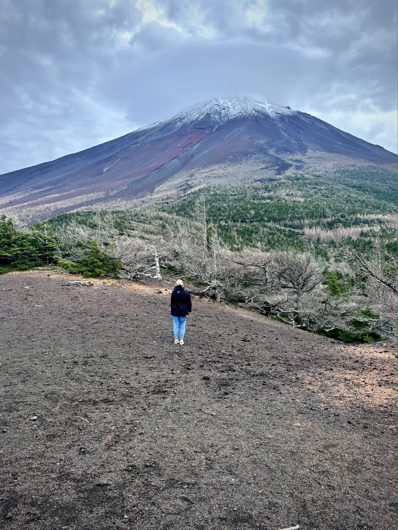 Цветение сакуры в Японии + оформление визы в подарок (8/37)