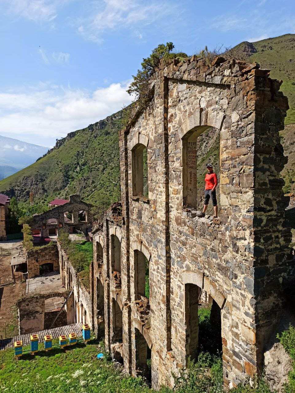 Дигория (10/10)