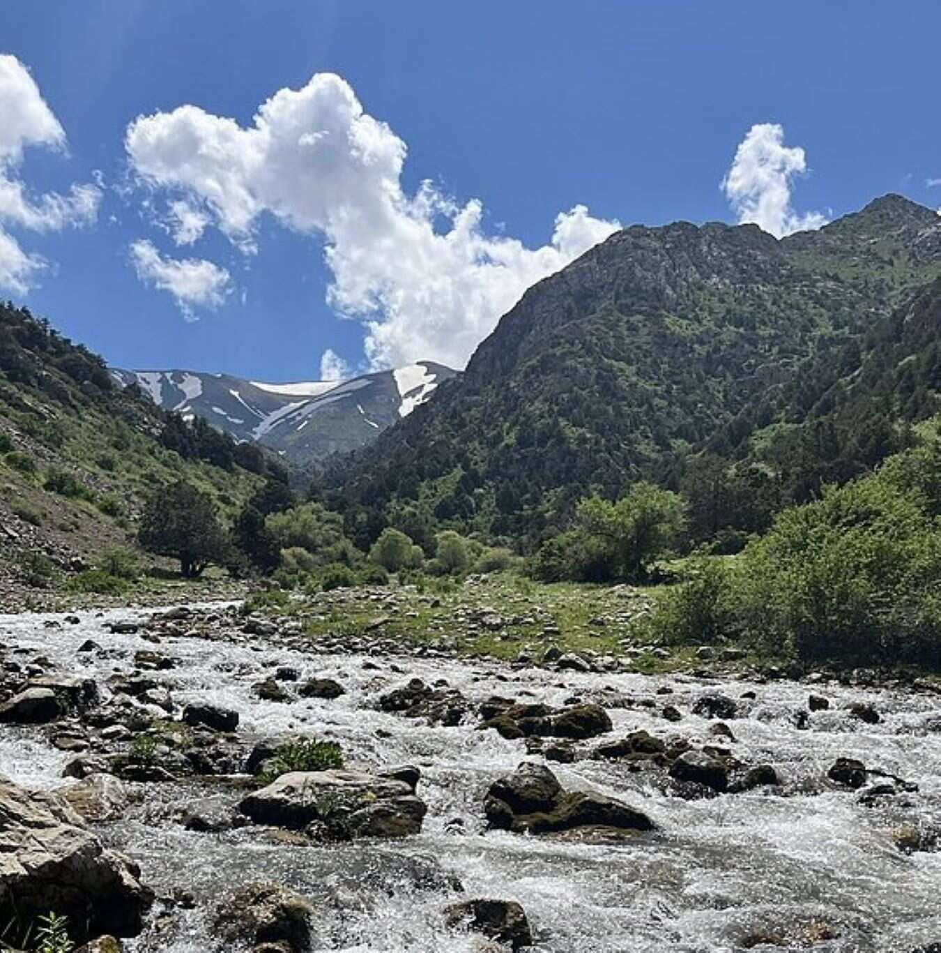В сердце природы и пикник с видом на вершины