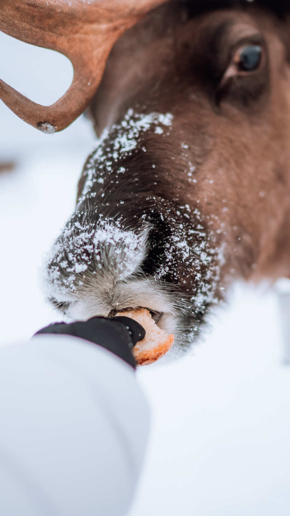 Знакомство с Сейдозером (5/7)