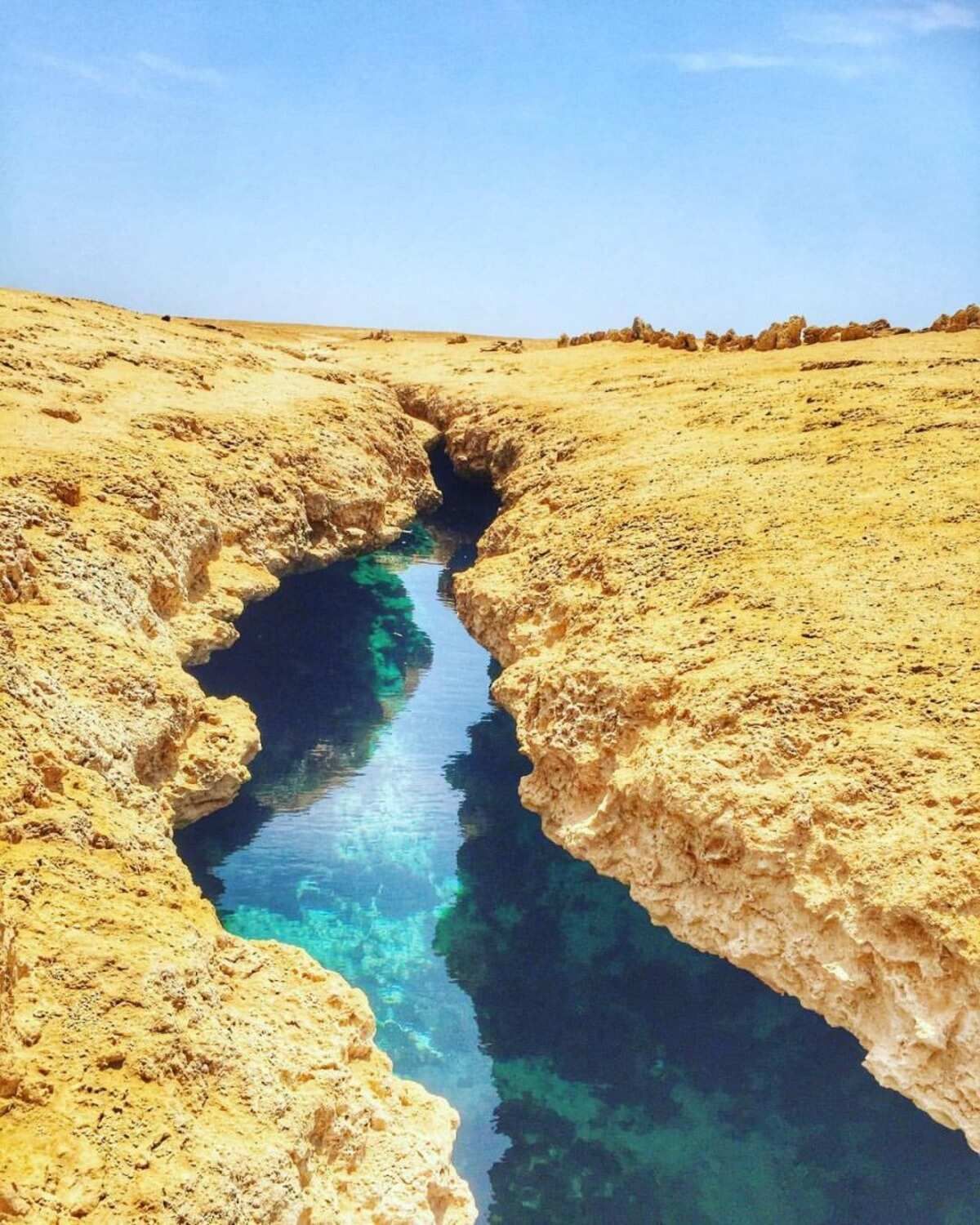 Индивидуальный тур в заповедник Рас-Мохаммед (с обедом из морепродукто (3/17)