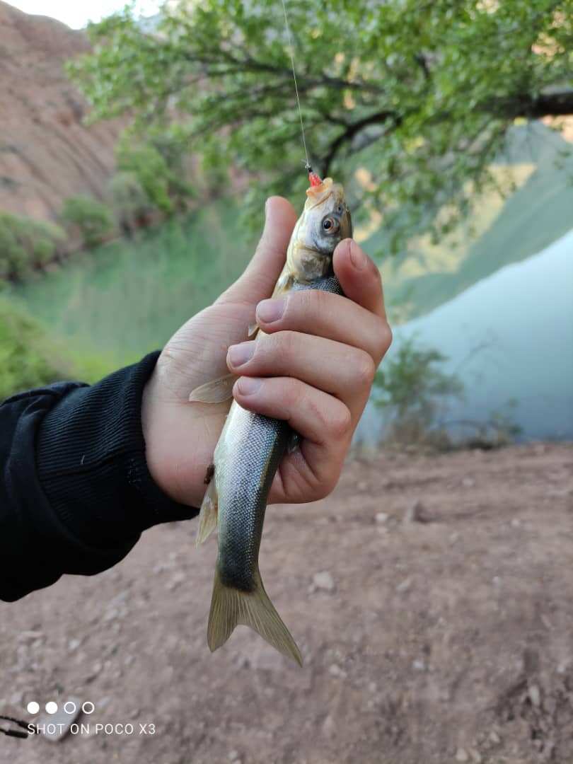 Озеро Ак-Кёль и его ущелья! Экспедиция за 3 дня! (6/20)
