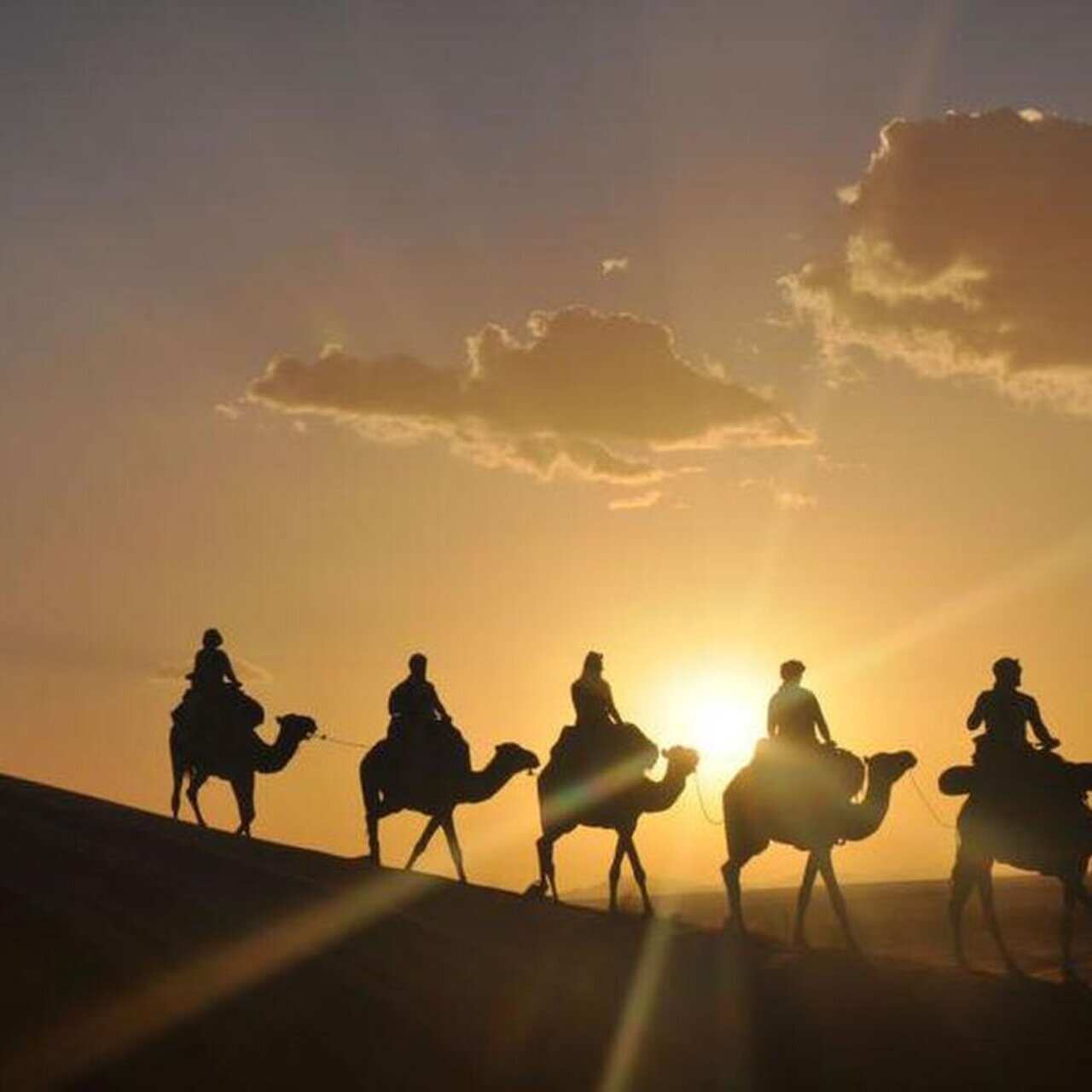 Пустыня Мерзуга Сахара в 3 днях от Марракеша  (7/7)