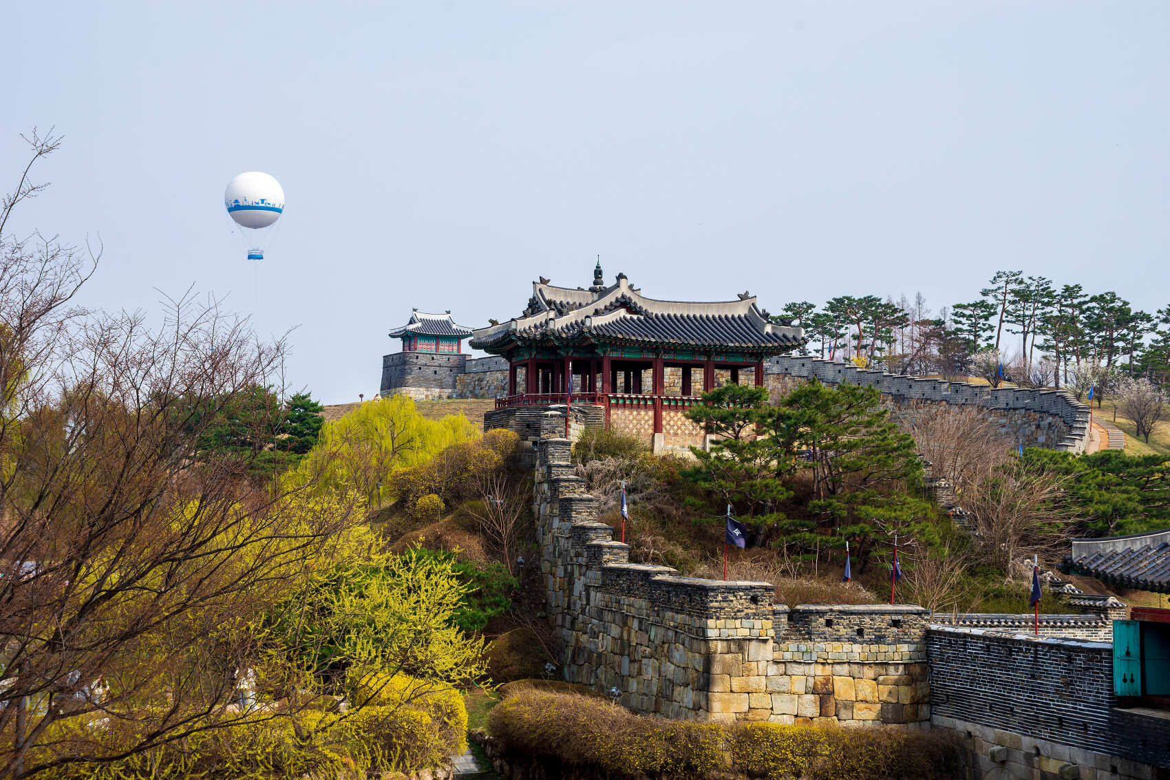 Южная Корея. Сакура в утренней свежести (8/34)