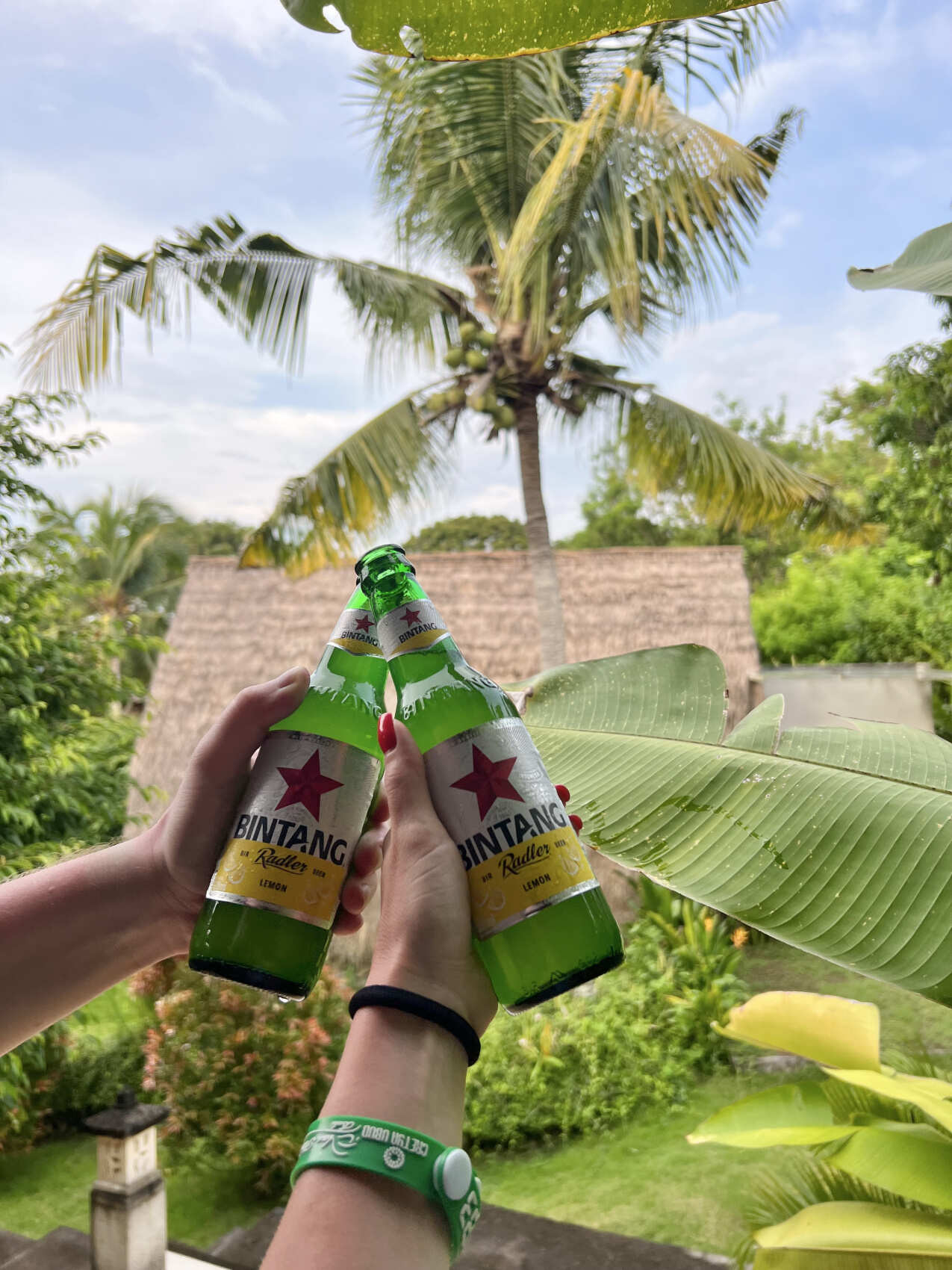 Фото-девичник на Бали за 10 дней (103/167)