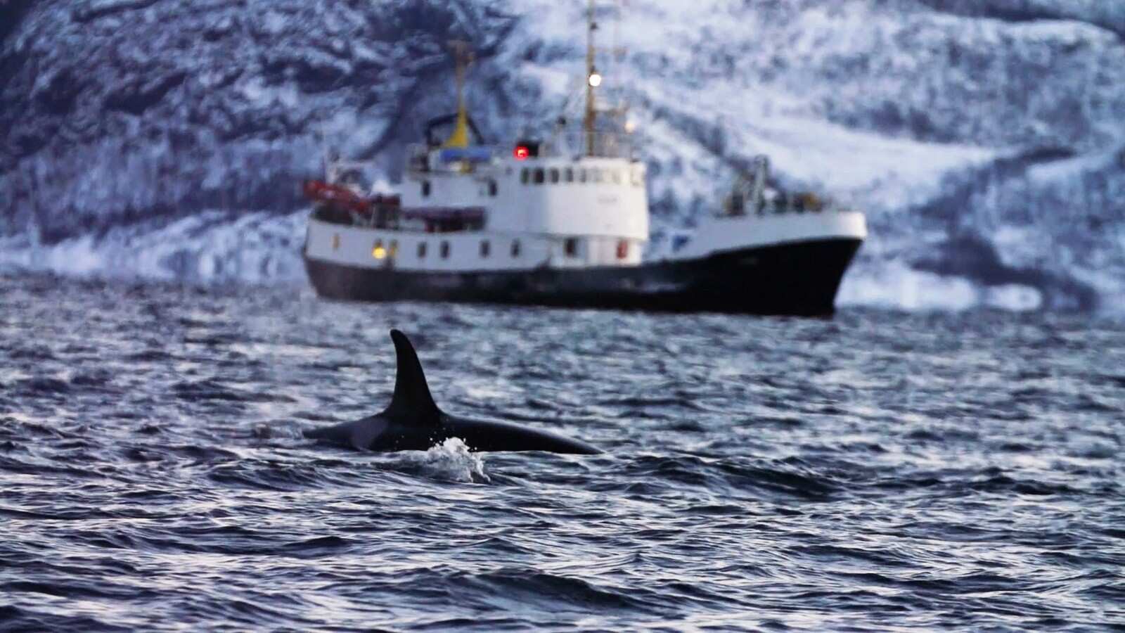 Охота за Северным сиянием из Мурманска (4/21)