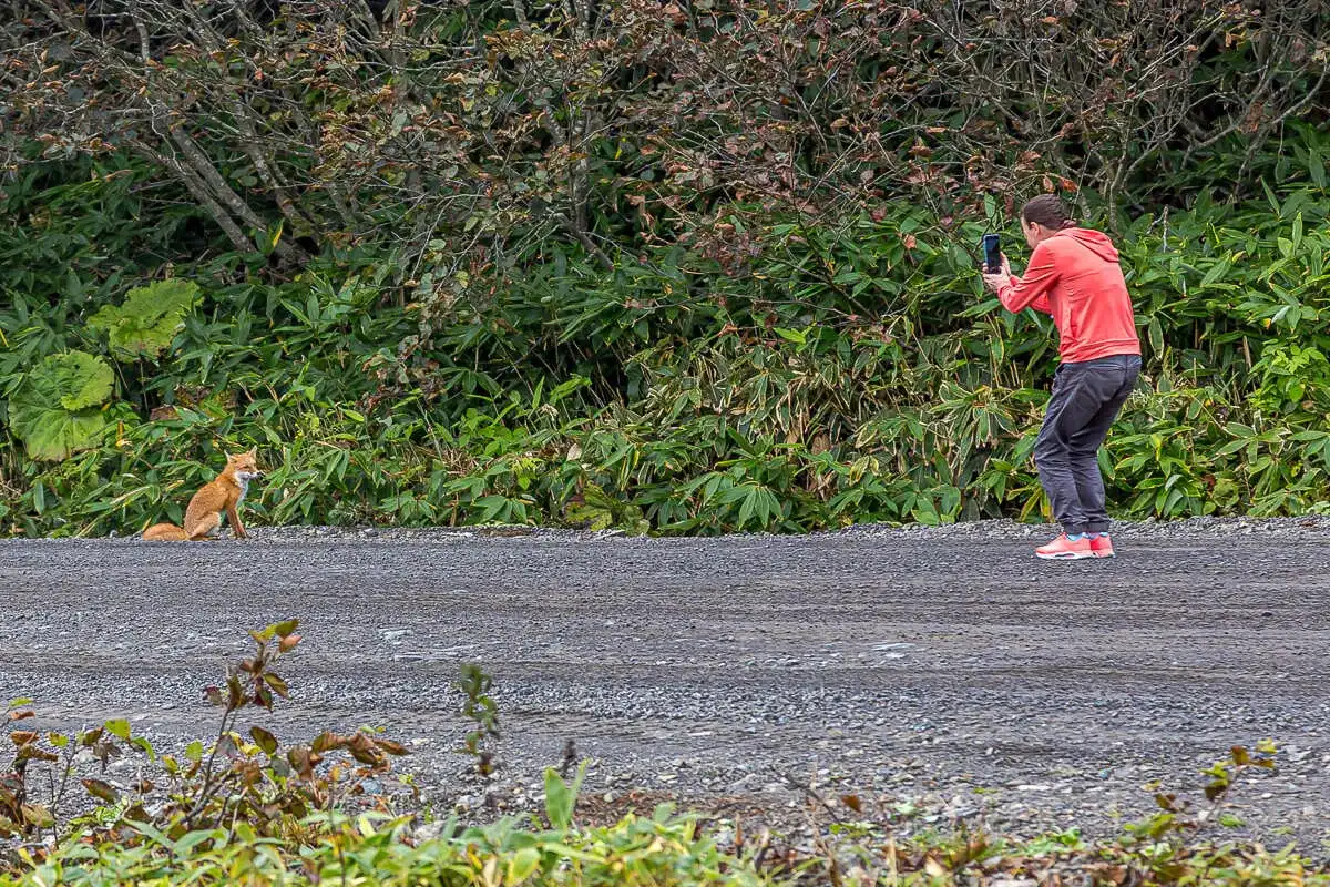Три вулкана Курильских островов. Путешествие на другую планету (48/138)