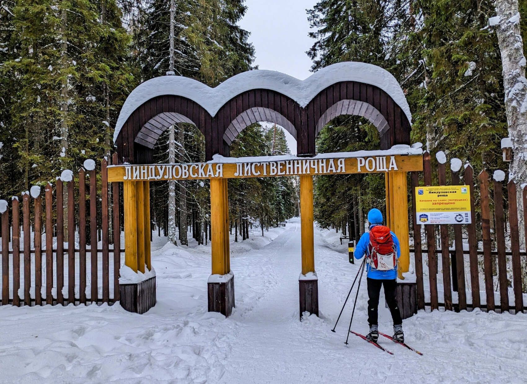 Лыжная прогулка по Линдуловской роще. Однодневный выезд из Петербурга