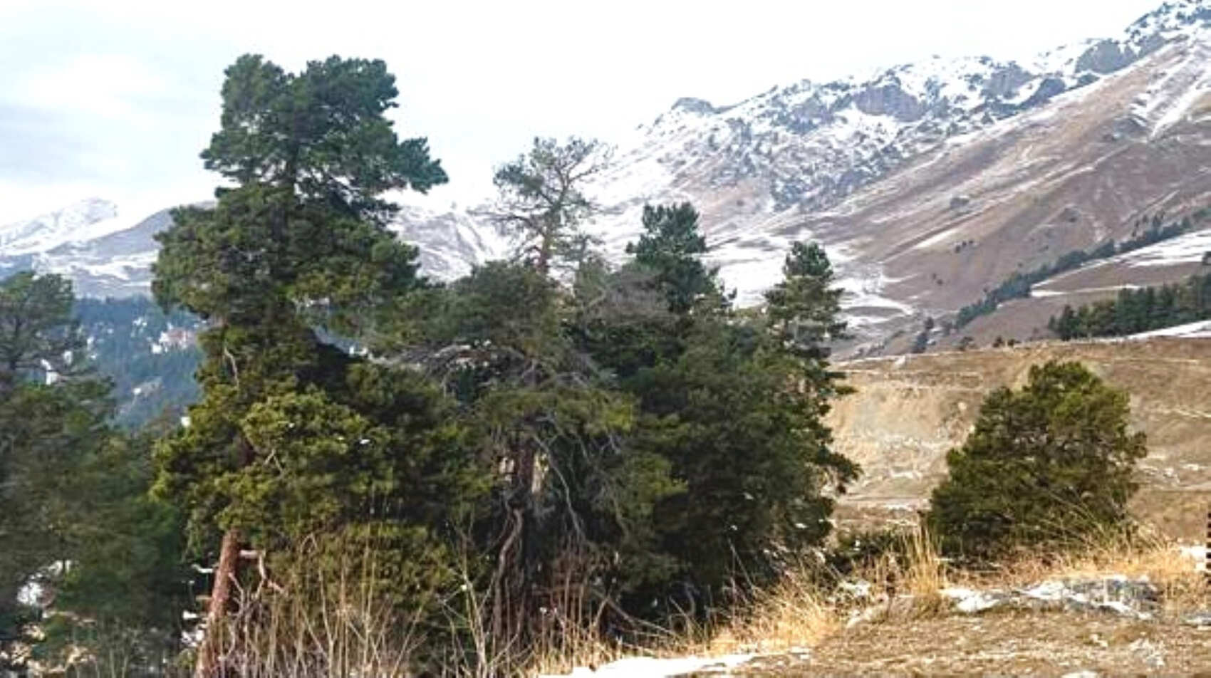 Джип тур к снежным вершинам  Архыза из Ессентуков (12/42)