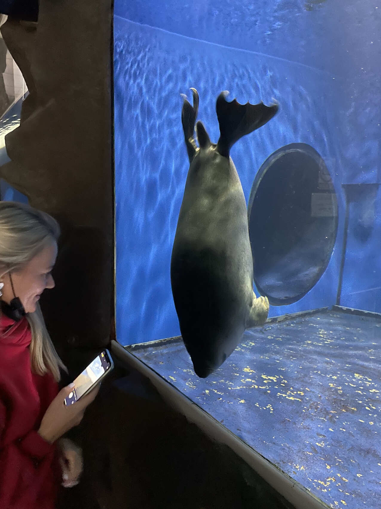 Суперхит с 2018: Застывшие волны и магия Байкала. Иркутск,Голоустное,Листвянка,Ольхон (13/47)