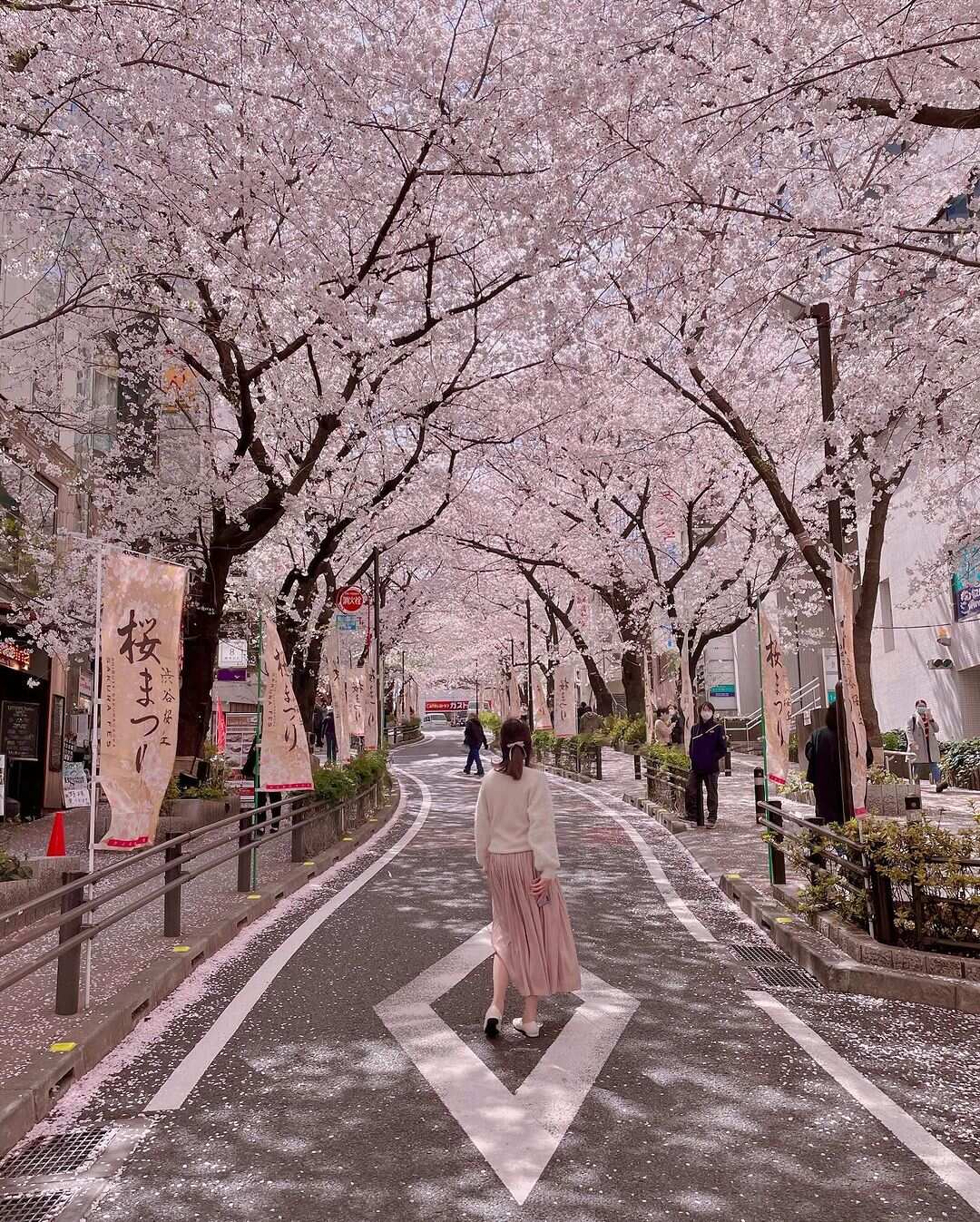 Япония: гастро-тур в сезон Cакуры (2/35)