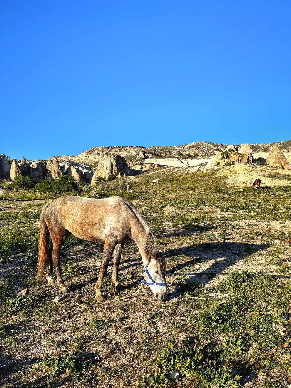Каппадокия: путешествие сквозь время и облака (16/69)