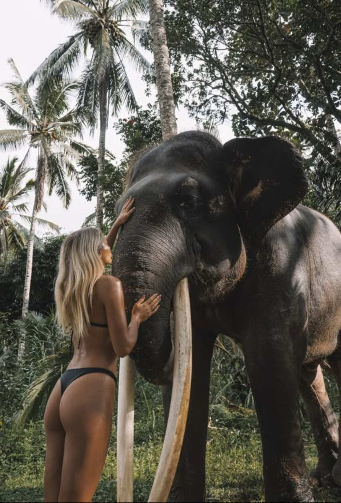 Thailand. All inclusive. (6/27)