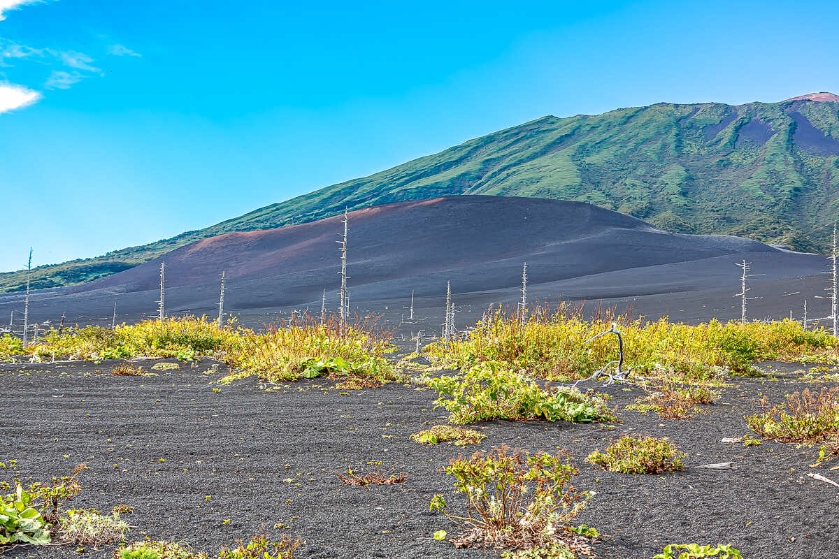 Четыре вулкана Курильских островов. Путешествие на другую планету (37/186)