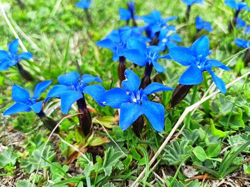 Эльбрус, Приэльбрусье и термальные источники (6/31)