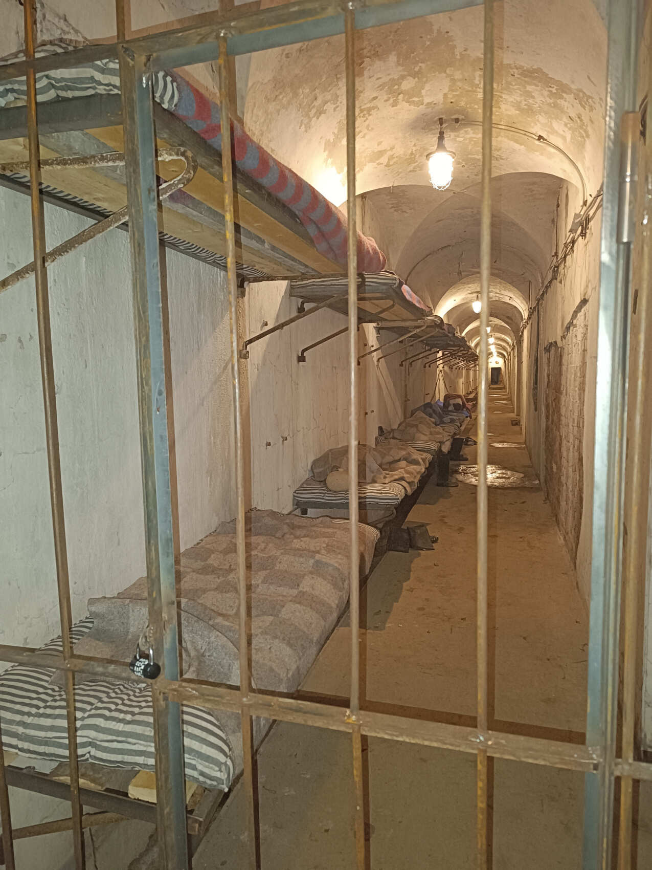 Большое путешествие в Кронштадт (4/11)