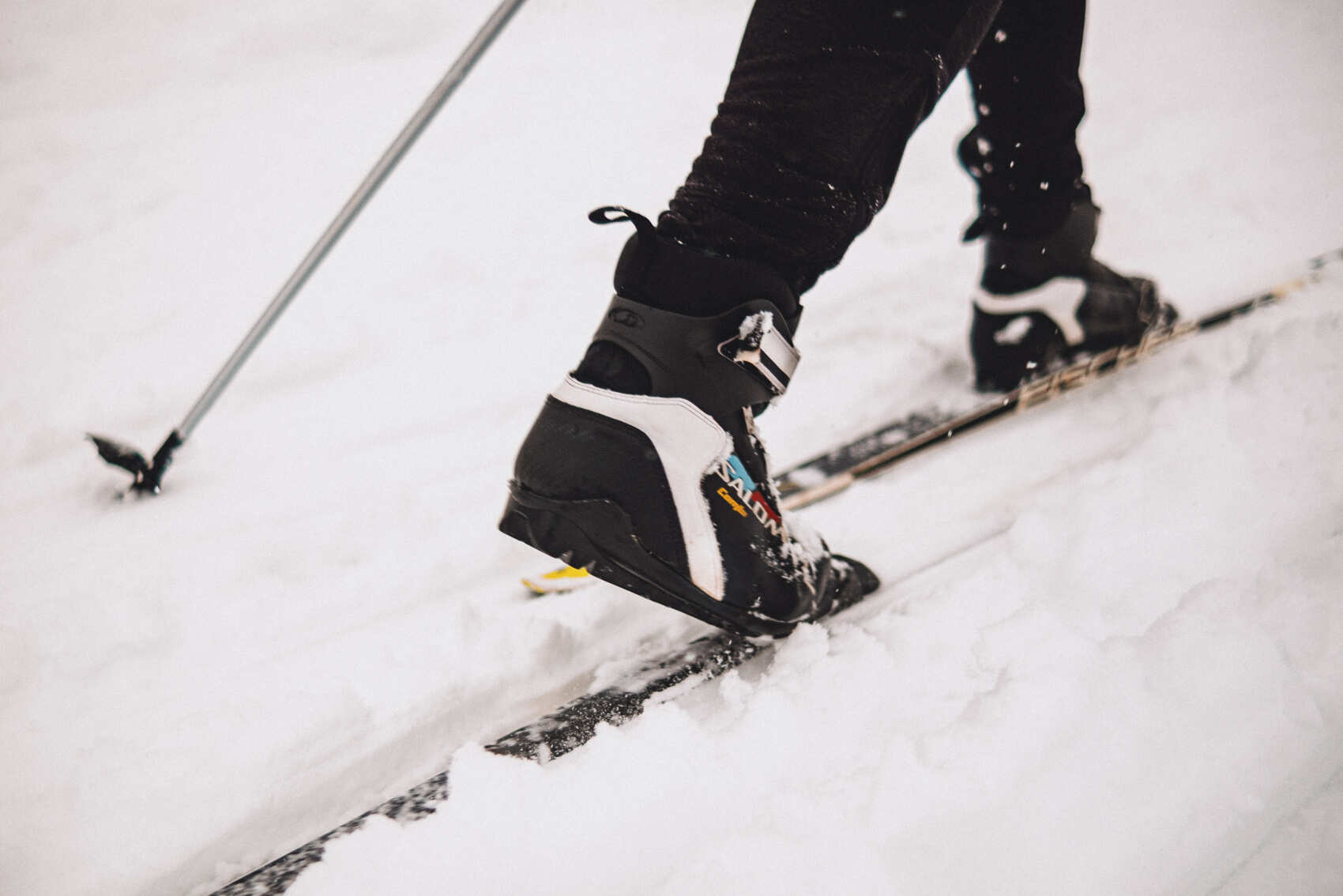 Лыжные тренировки в Санкт-Петербурге. Базовый уровень (15/28)