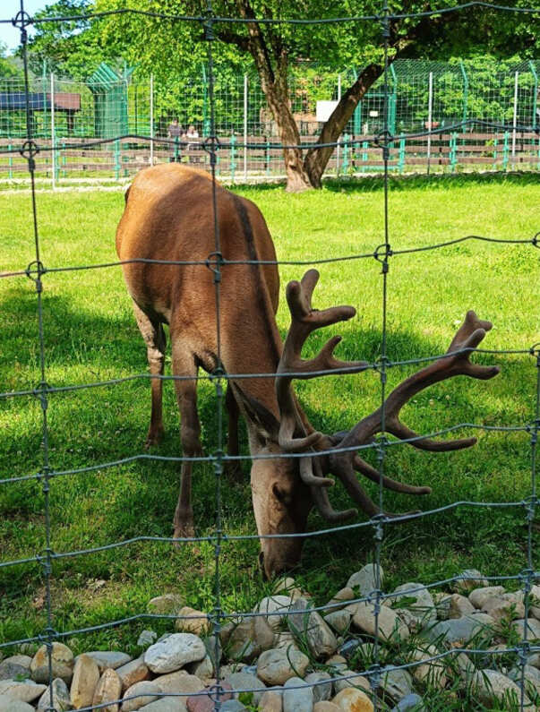 Этнотур в Адыгею + Спа (всё включено) (31/34)