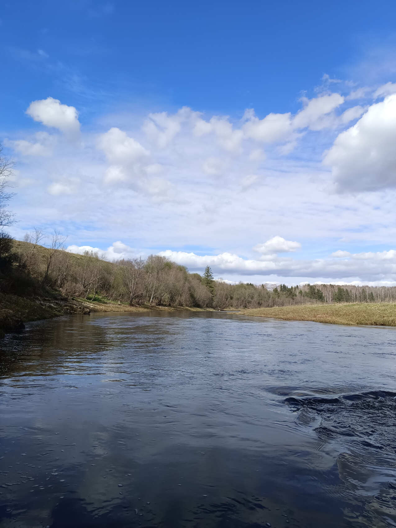 Сплав по реке Дёржа (Тверская обл.) на байдарках (1 день) (14/30)