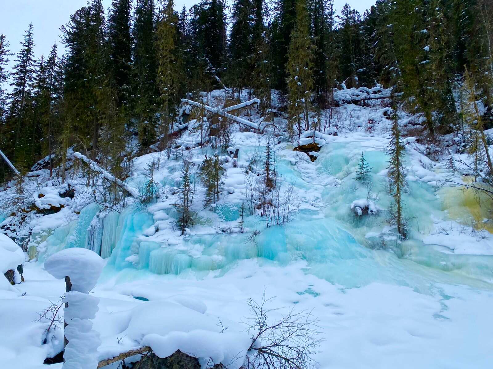 К подножию Белухи на снегоходах (комфорт) (11/31)
