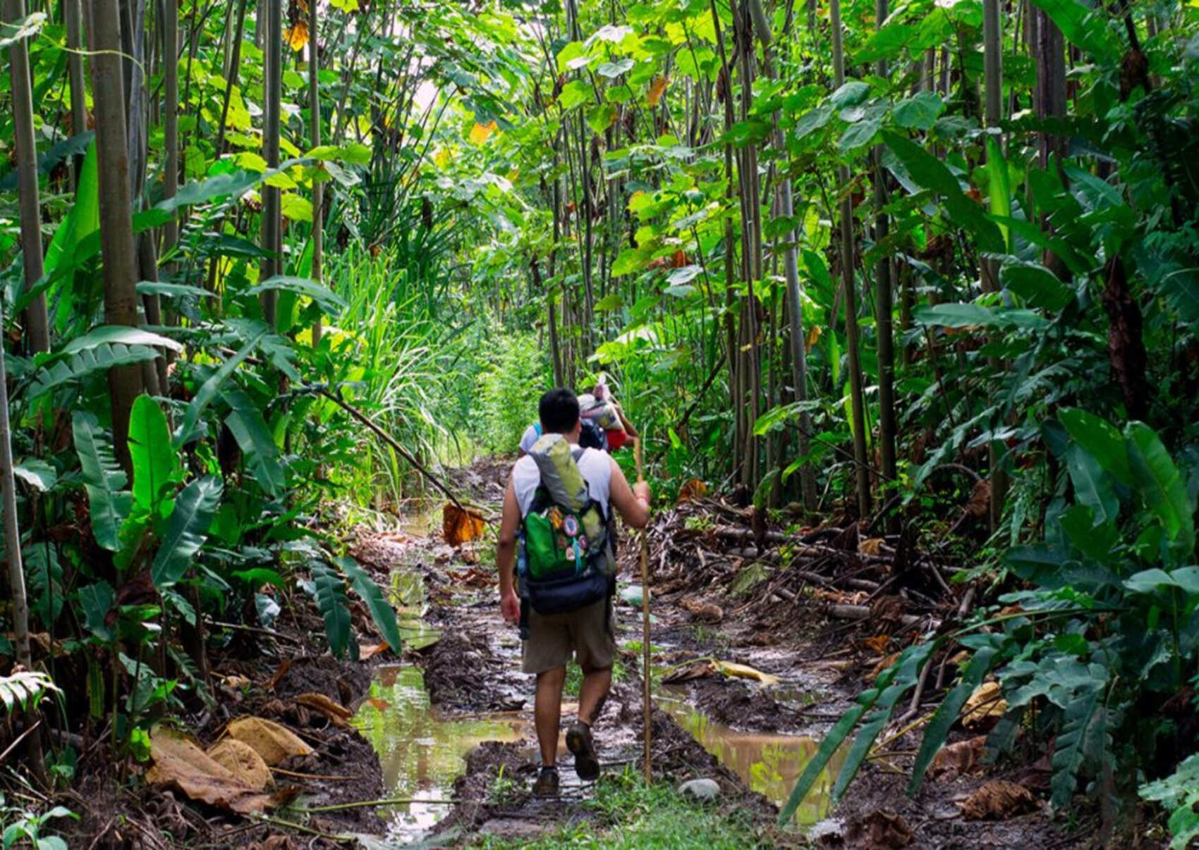 4 дня в самом сердце джунглей (5/7)