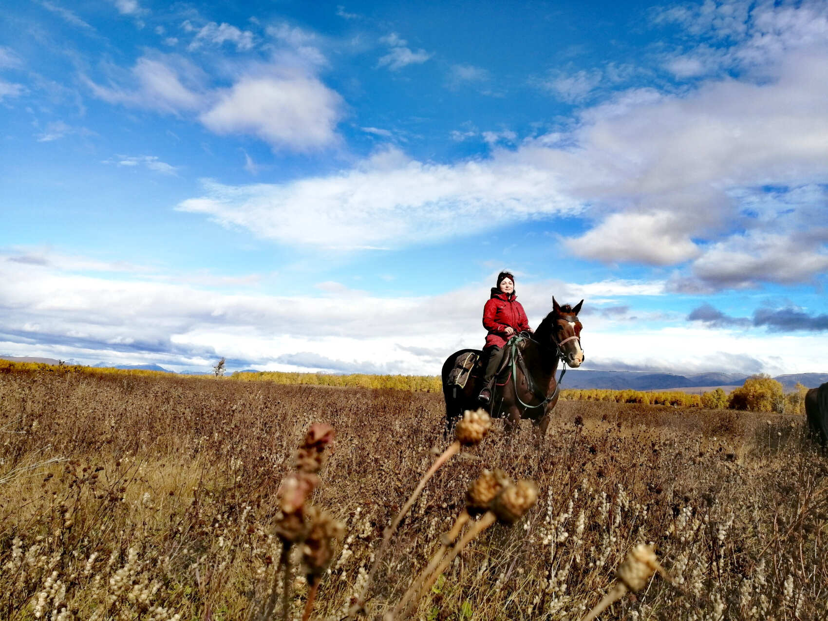 Конный тур в Медвежий Угол (2/17)