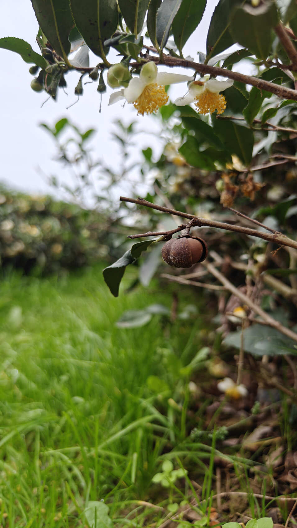 Увидеть весь Азербайджан за 8 дней (107/201)