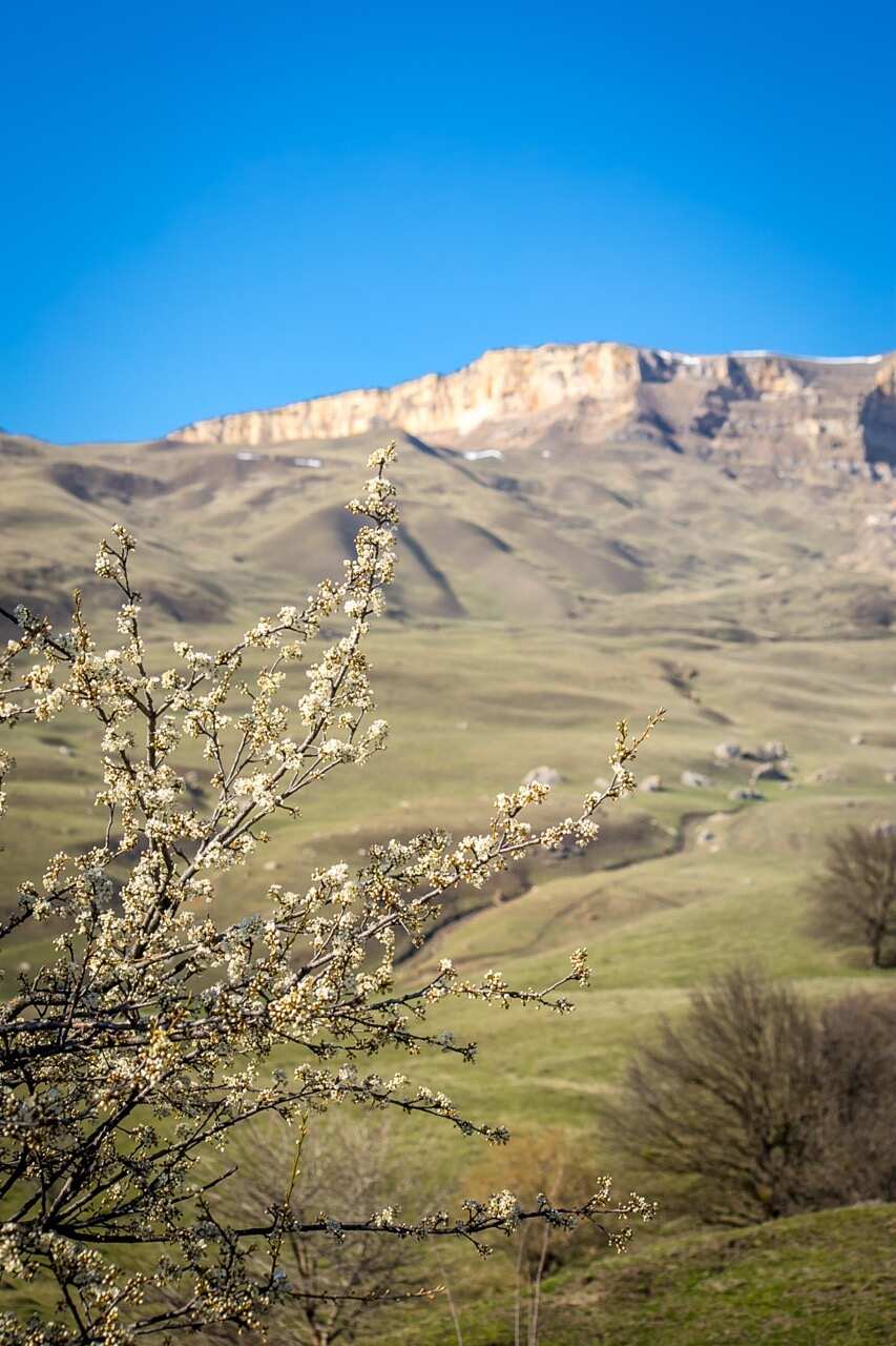 4-дневный конный тур Галопом по просторам Карачаево-Черкесии (2/23)