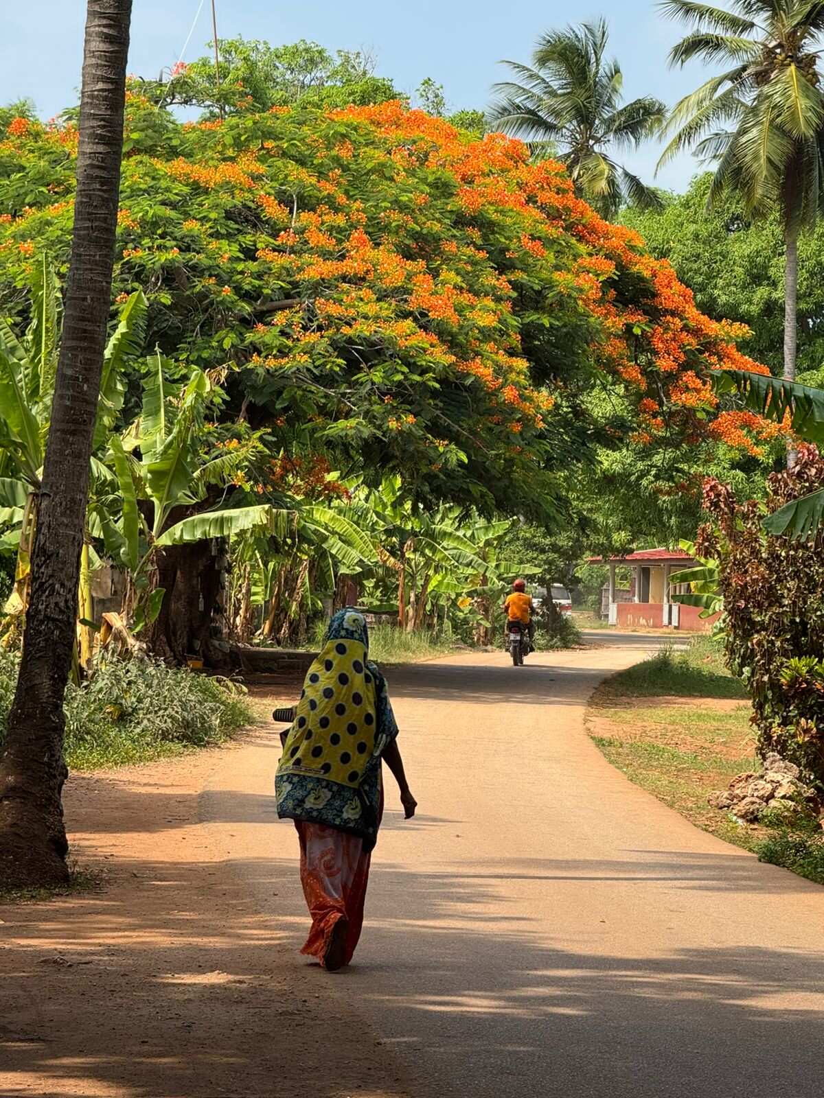 Занзибар: Приключения в Раю (29/55)