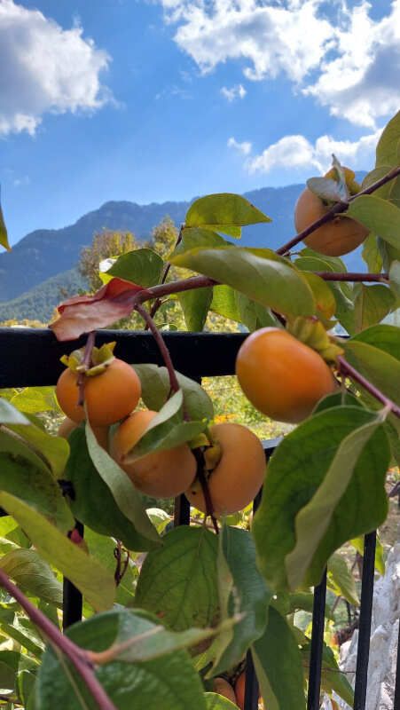 Ликийская тропа через горы к морю Все включено налегке (32/60)