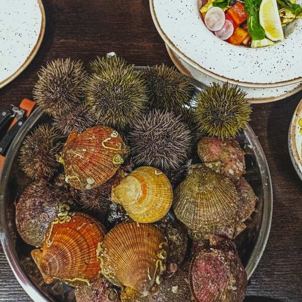 Териберка - Северное Сияние, Океан, Киты. (46/70)