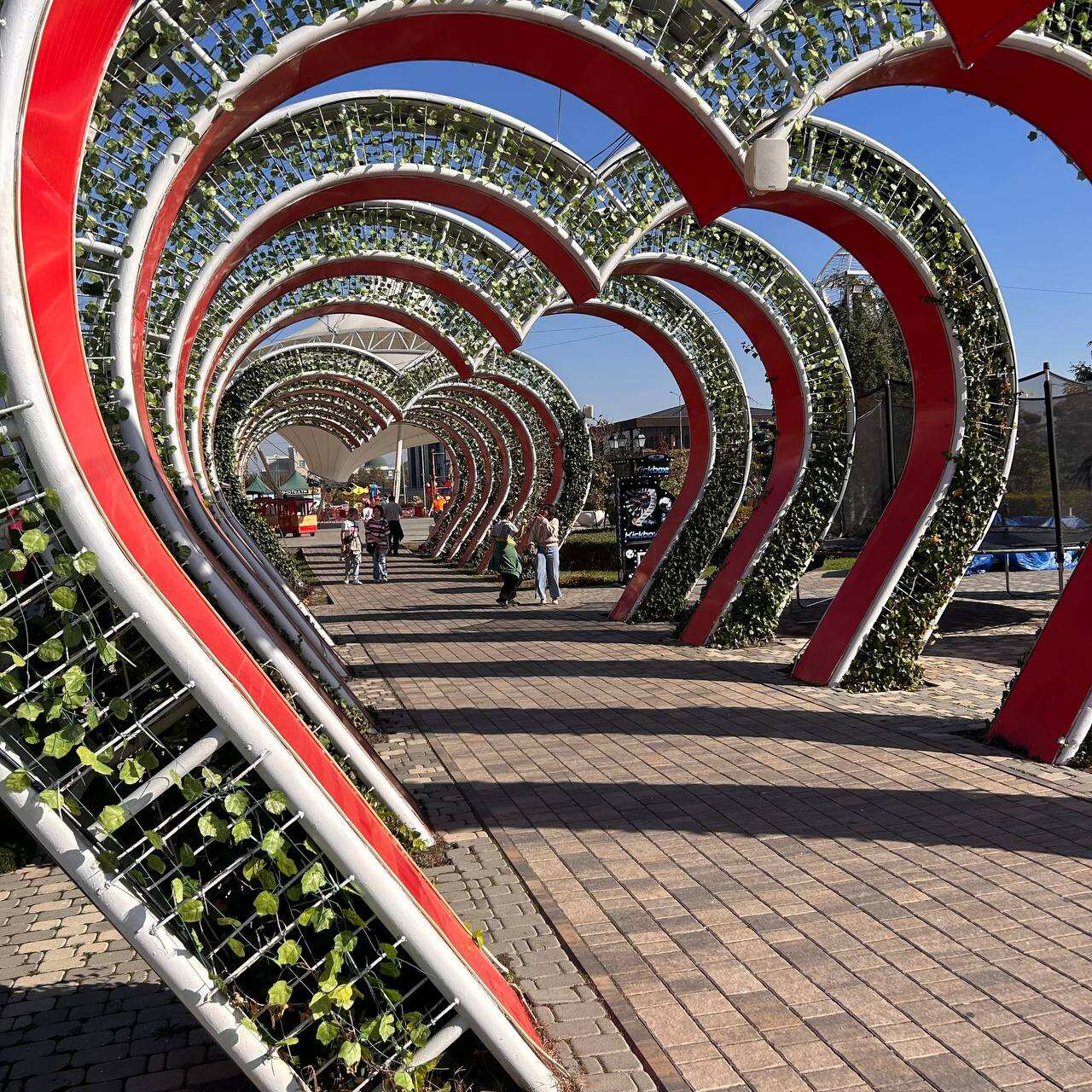 Экспресс-тур по Кавказу. 4 республики и 1001 впечатление! (320/387)