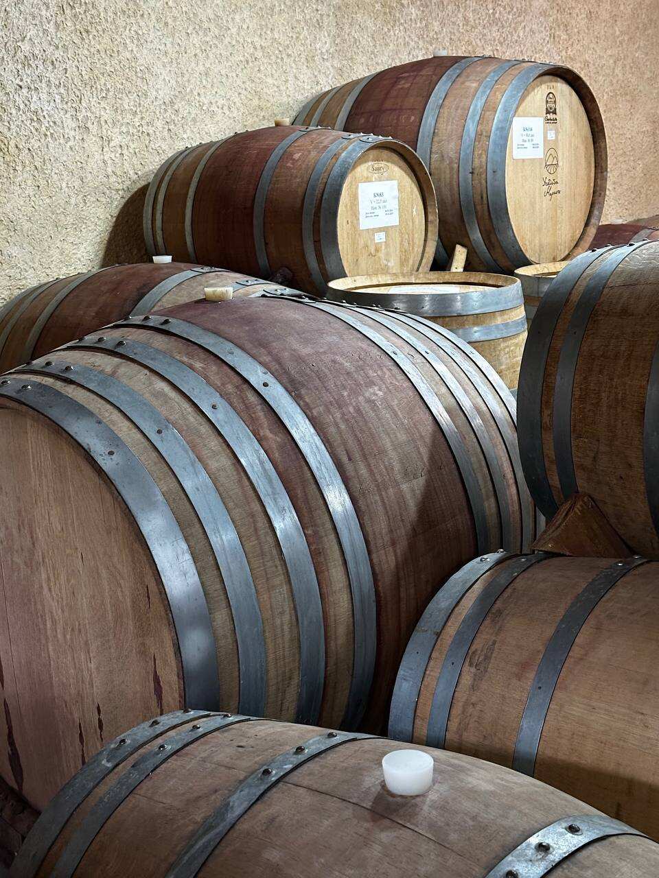 Девичник на Винодельнях: вино, яхта, жизнь у виноградников (23/45)