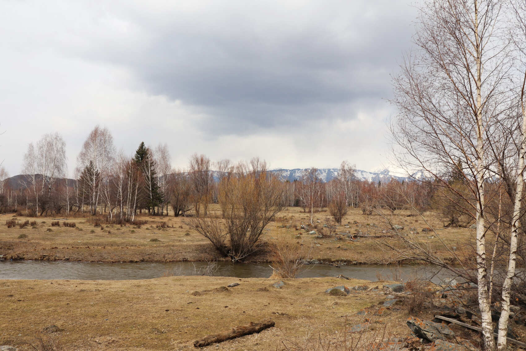  Усть-Кокса и Мультинские озера: горы и степи, старообрядцы и Рерих  (8/25)
