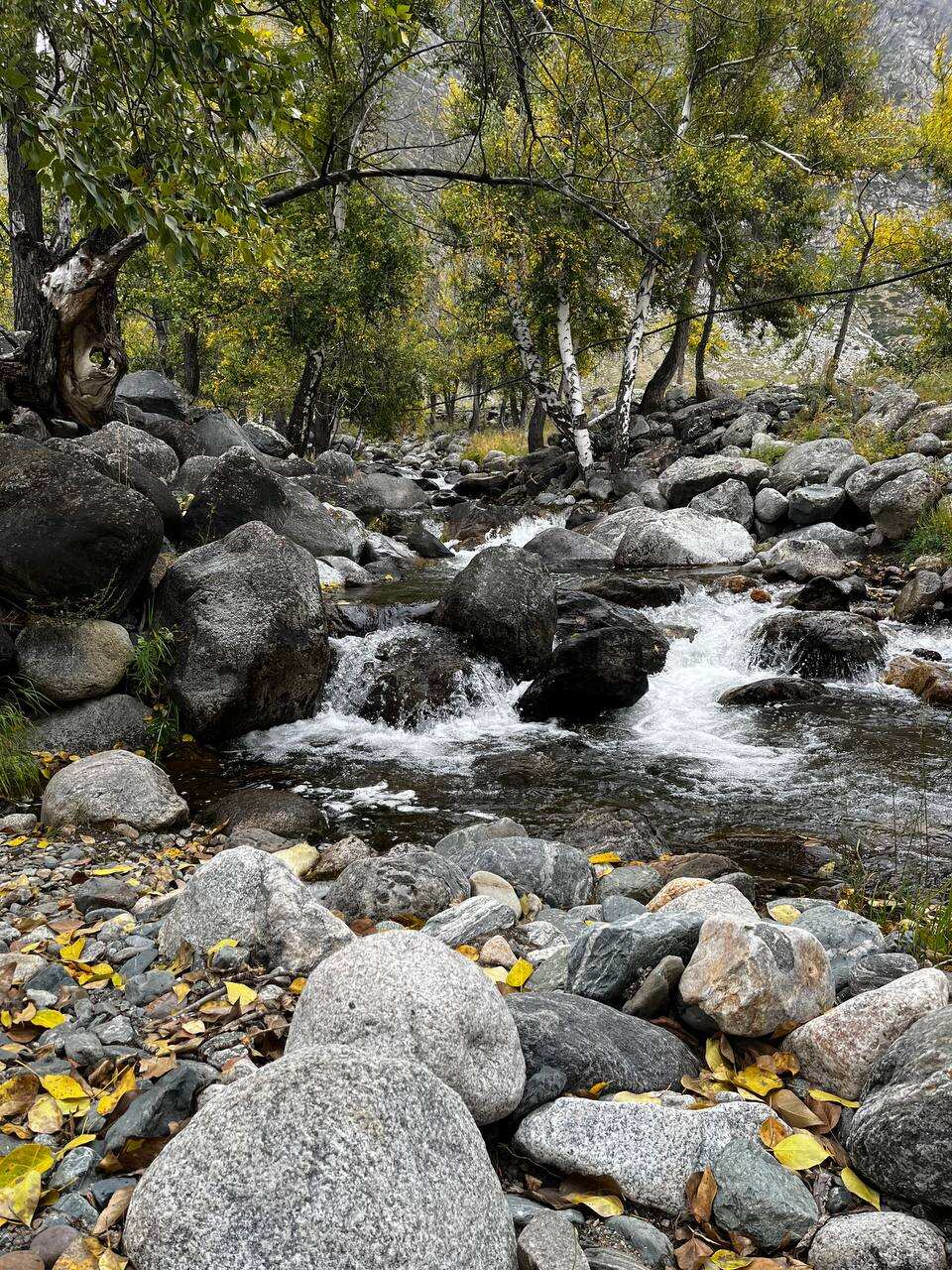 Золотое кольцо Алтая: инстаграмные локации (26/58)