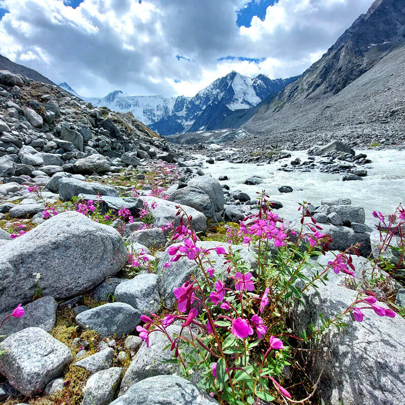 Поход на Алтай. Гора Белуха и Кучерлинские озера. Без рюкзаков. (14/68)