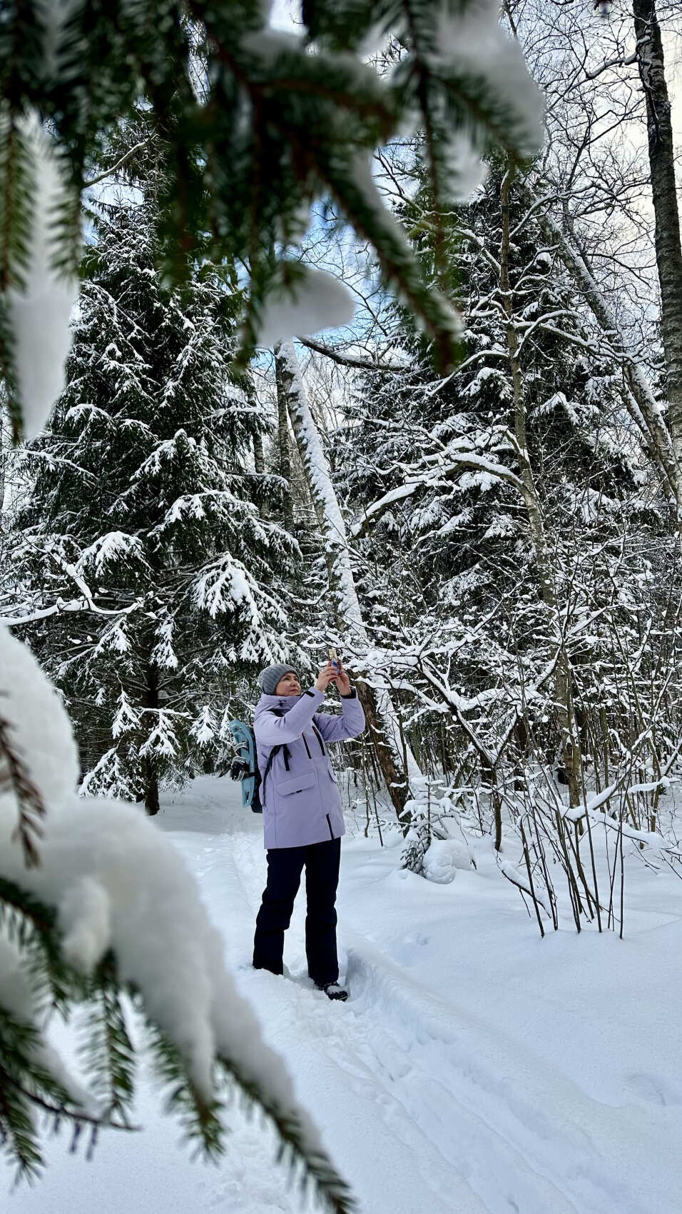 Поход на снегоступах Русский север в Подмосковье (9/11)
